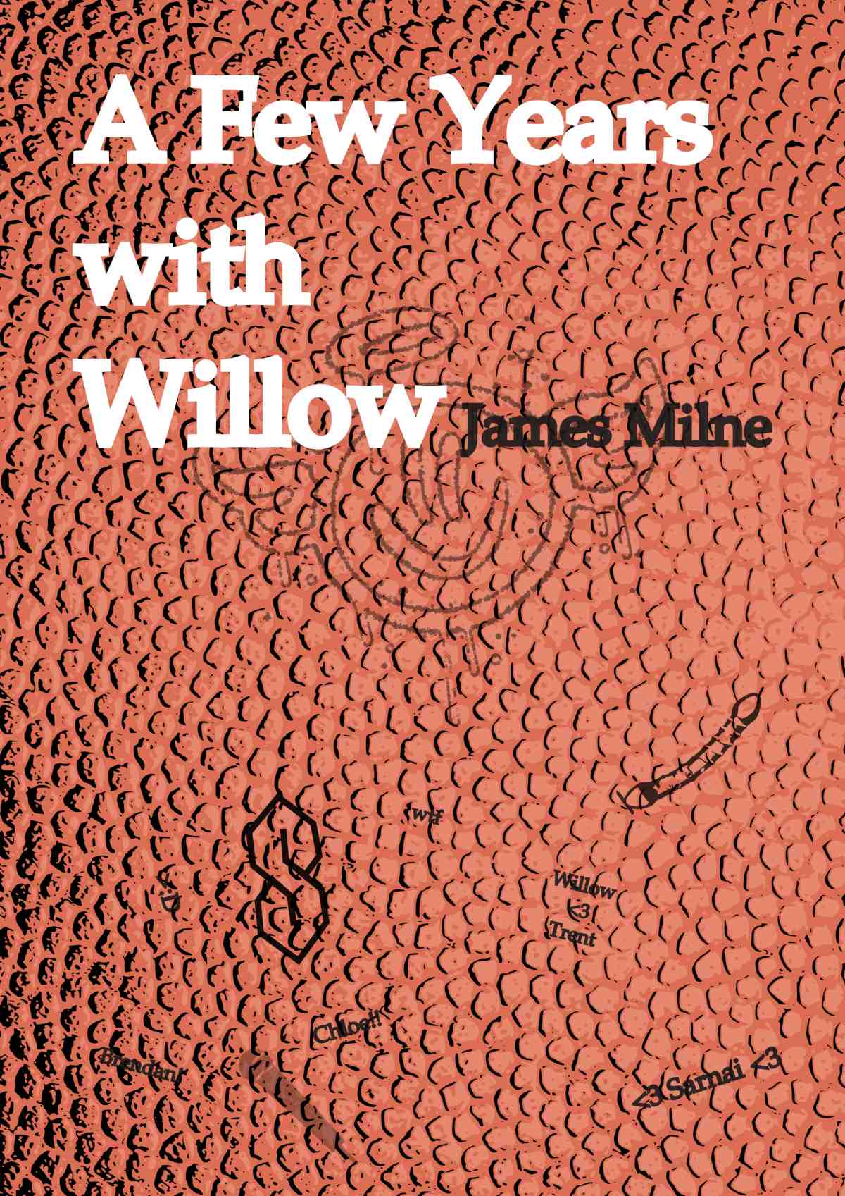 A Few Years with Willow
